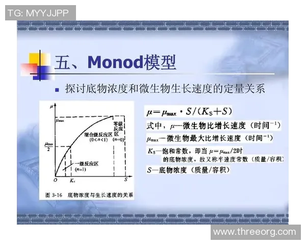 缅甸足球现状分析与发展前景探讨及其在东南亚的影响力