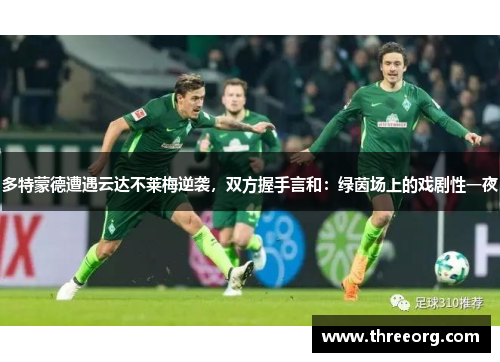 多特蒙德遭遇云达不莱梅逆袭，双方握手言和：绿茵场上的戏剧性一夜